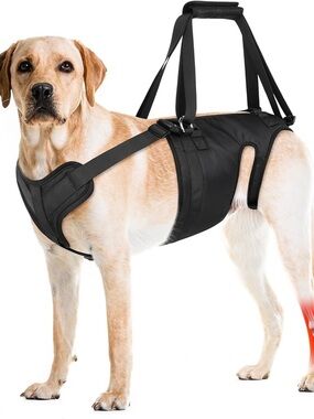 Dog Rear Support Harness Lift Vest - Black